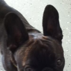 Meet your Posher, Joanne